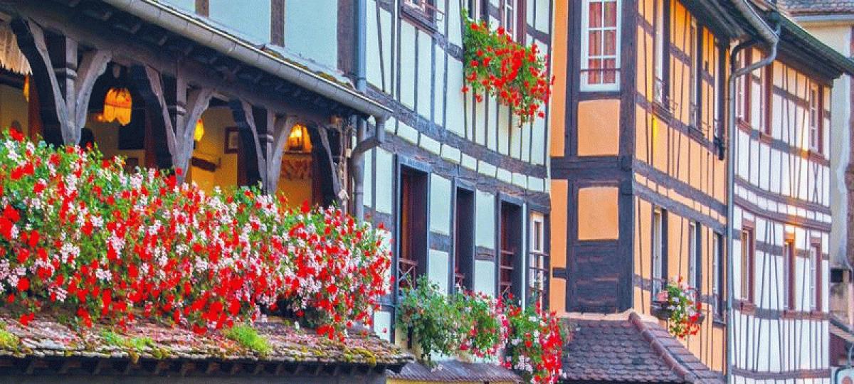 banner photo bas rhin schiltigheim