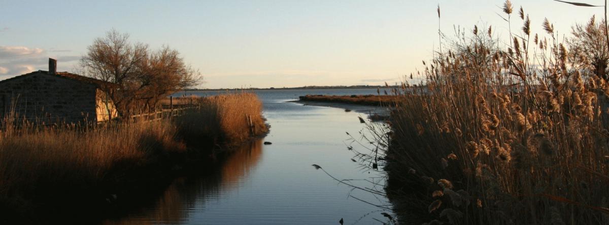 banner photo herault mauguio_2