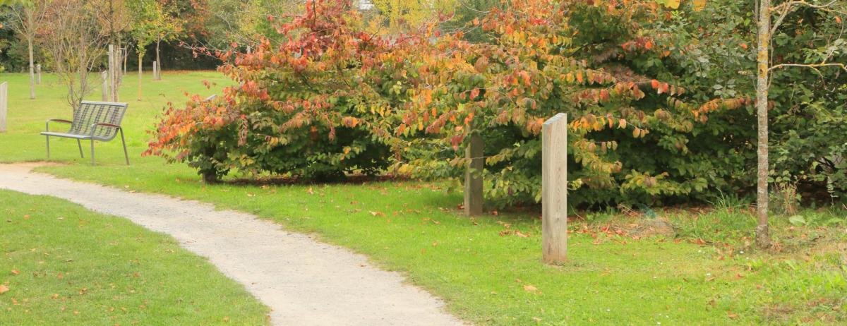 banner photo nord ronchin