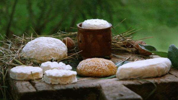 gastronomie Haute-Garonne_4