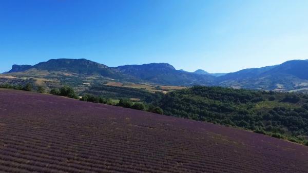 paysage Alpes-de-Haute-Provence_4