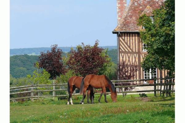 paysage Calvados