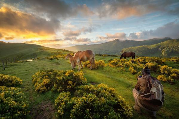 paysage Cantal