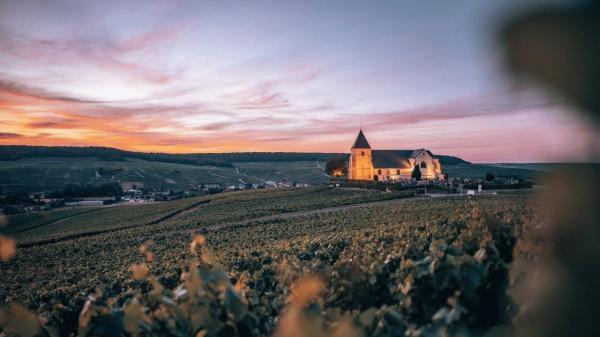 paysage Marne_2