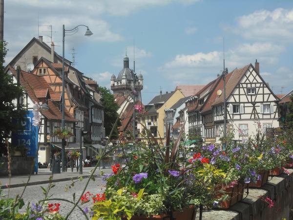 photo bas rhin selestat