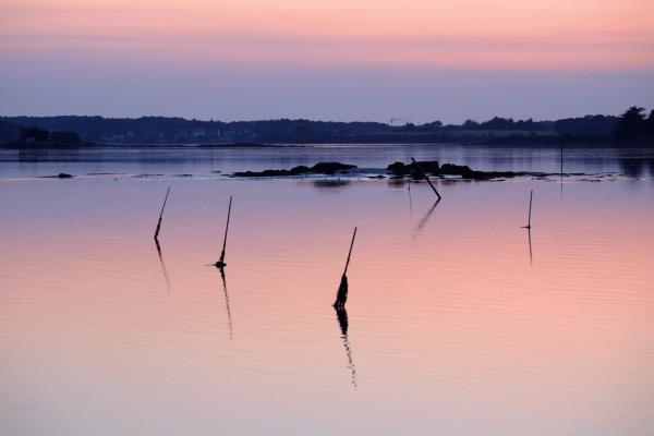 photo Morbihan_2