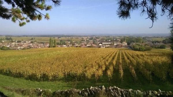 photo saone et loire vire_2